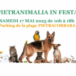 Pietranimalia in Festa